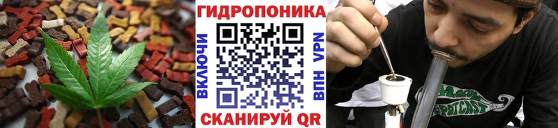 Купить закладки  Фрязино  Cannafood конопля 