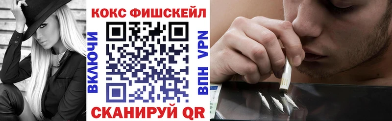 Купить закладки  Фрязино  COCAIN 97% 