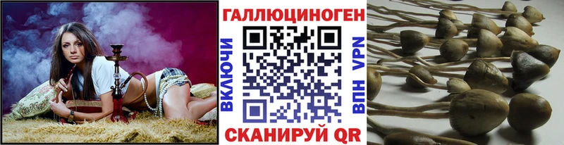 Купить где  Фрязино  Галлюциногенные грибы ЛСД 